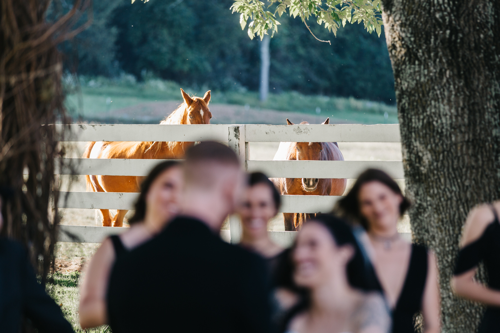 Nashville TN Wedding Photographers | Laura K. Allen | Samary Plantation